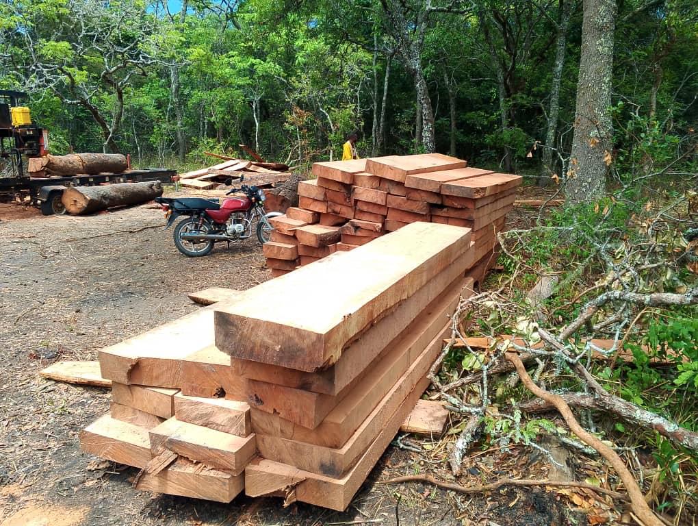 orem ipsum dolor sit amet consectetuer In adipiscing pretium metus Morbi